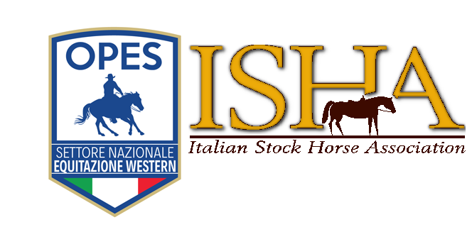 Decreto Covid Aggiornamento Del 11 Marzo Ore 16 43 Per Centri Cavalieri Tecnici Isha Italian Stock Horse Association