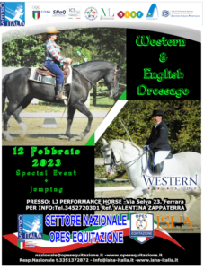 Western & English Dressage Emilia @ LJ PERFORMANCE HORSES